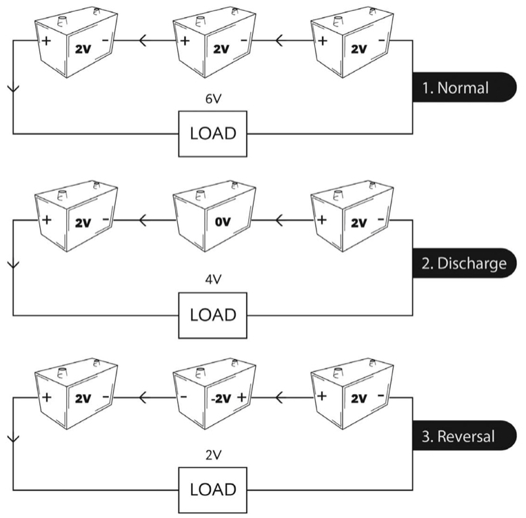 Figure 1F Crop